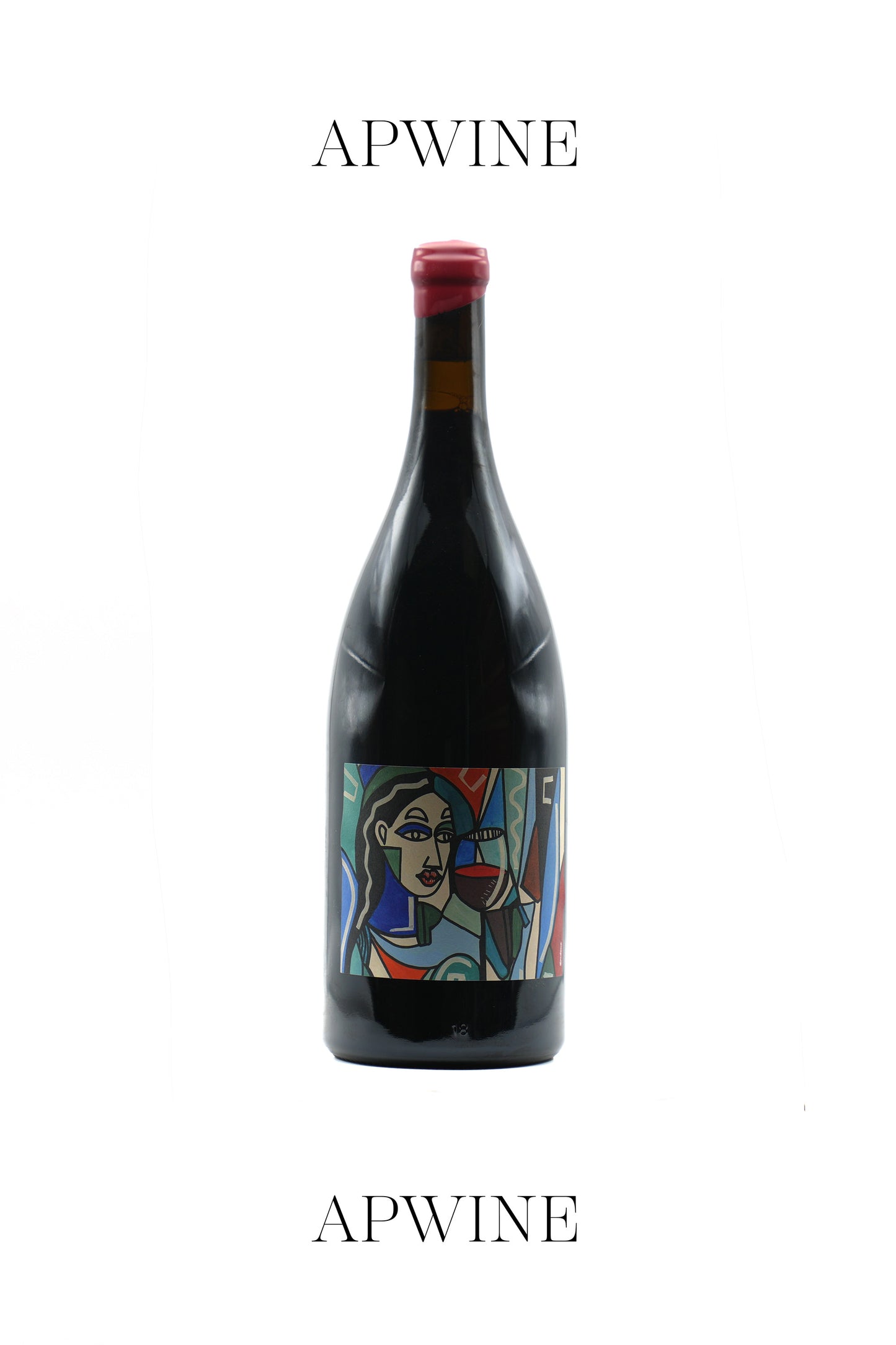 Domaine Guillaume CHAIZE, Saint-Joseph "Le Biez" 2024