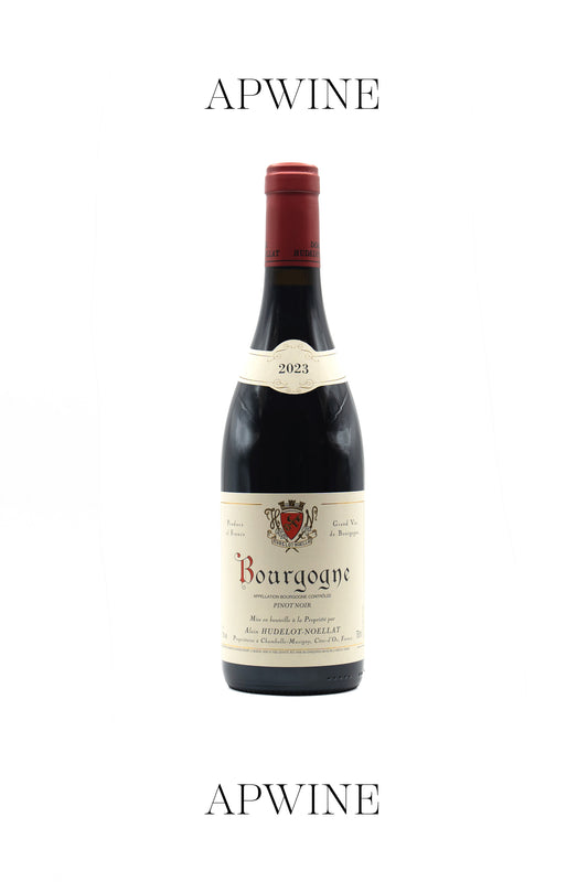 Domaine HUDELOT-NOELLAT, Bourgogne Pinot Noir 2023