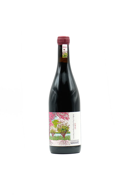 Domaine MAYARD, Lirac 2024